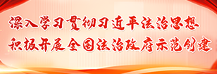 法治政府建設
